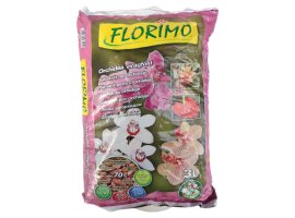 FLORIMO - Orhideja