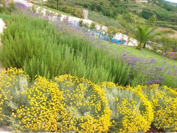 Vrtovi istarskih vila u Baredinama